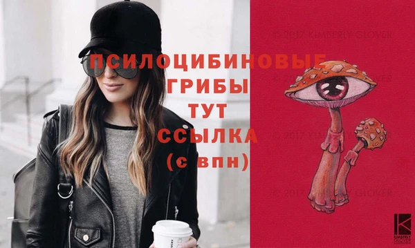 тгк Абинск