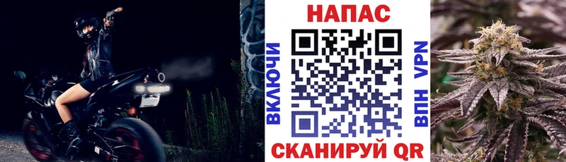 Каннабис гибрид Новочеркасск
